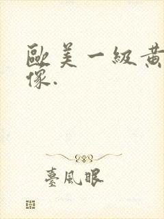 欧美一级黄色录像.