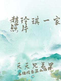 赵玲琪一家三口照片