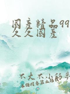 国产精品99久久久国产