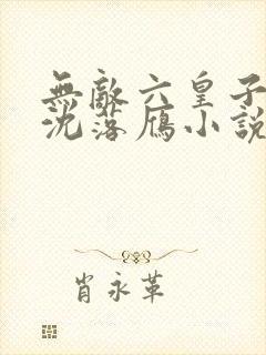无敌六皇子云铮沈落雁小说版