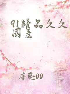 91精品久久久国产