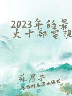 2023年的最火十部电视剧