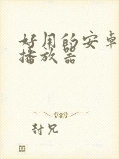 好用的安卓本地播放器