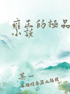 雍正的极品后宫小说