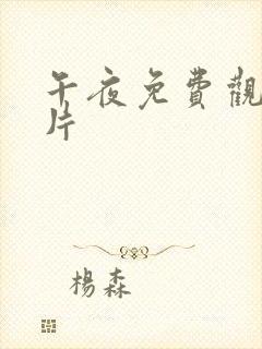 午夜免费观看毛片