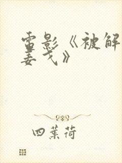 电影《被解救的姜戈》