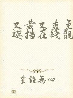 又黄又爽免费无遮挡在线观看