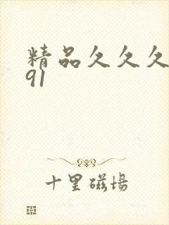 精品久久久久久91