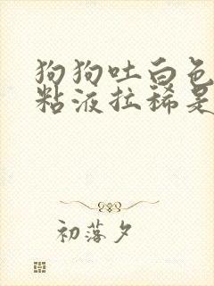 狗狗吐白色泡沫粘液拉稀是什么原因