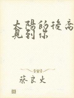 太阳的后裔再次见到你