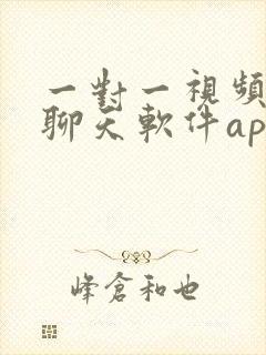 一对一视频聊天聊天软件app