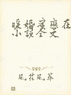 暖婚蜜恋在八零小说全文