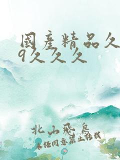 国产精品久久99久久久