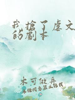 我抢了虐文男主的剧本