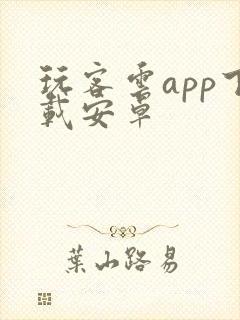 玩客云app下载安卓