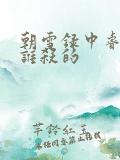 朝雪录中睿王是谁杀的