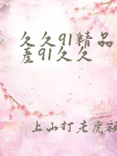 久久91精品国产91久久