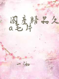 国产精品久久久a毛片