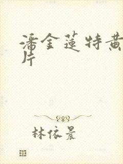 潘金莲特黄一级片