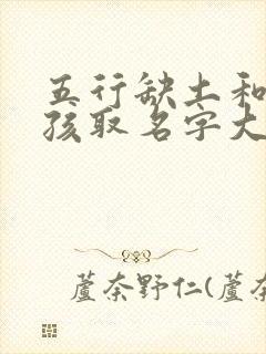 五行缺土和火男孩取名字大全集