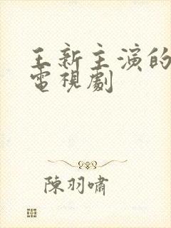 王新主演的全部电视剧