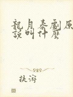 龙月泰剧原著小说叫什么