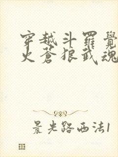 穿越斗罗觉醒烈火苍狼武魂的小说