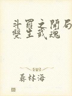 斗罗之开局觉醒双生武魂