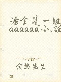 潘金莲一级淫片aaaaaa小.说