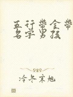 五行带金带水的名字男孩