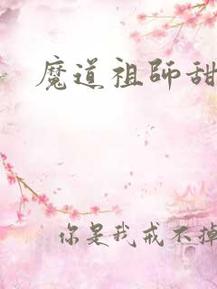 魔道祖师甜