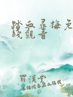 踏血寻梅免费在线观看