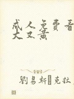 成人免费看片又大又黄