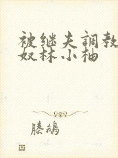 被继夫调教成肉奴林小柚