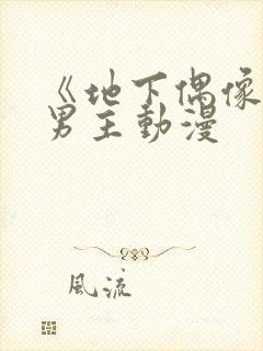 《地下偶像》双男主动漫