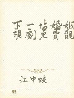 下一站婚姻 电视剧免费观看