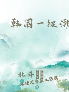 韩国一级潮喷片
