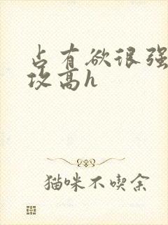 占有欲很强糙汉攻高h