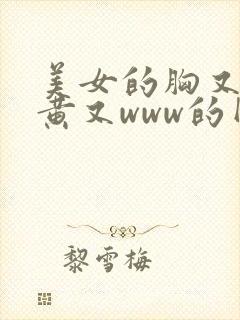 美女的胸又大又黄又www的网站