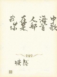 我在人海中遇见你是哪首歌的歌词