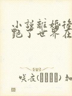 小说离婚后她惊艳了世界在线阅读