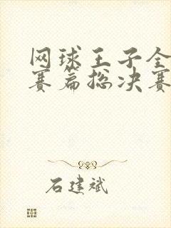 网球王子全国大赛篇总决赛