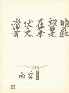 潜伏在黎明之前萧文华是敌还是友