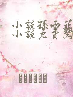 小说孙雨菲主角小说免费阅读全文