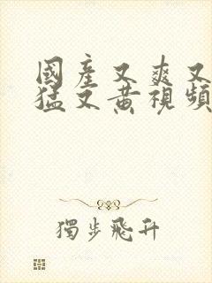 国产又爽又粗又猛又黄视频