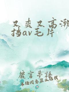 又爽又高潮无遮挡av毛片