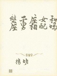 双子座女和射手座男相配吗