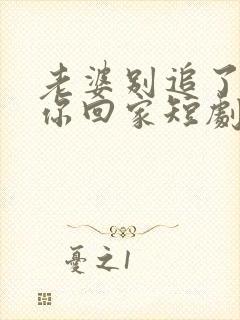 老婆别追了我跟你回家短剧演员介绍