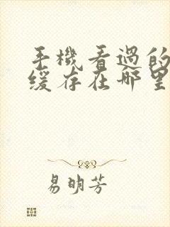 手机看过的视频缓存在哪里