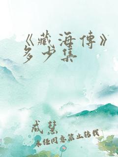 《藏海传》一共多少集